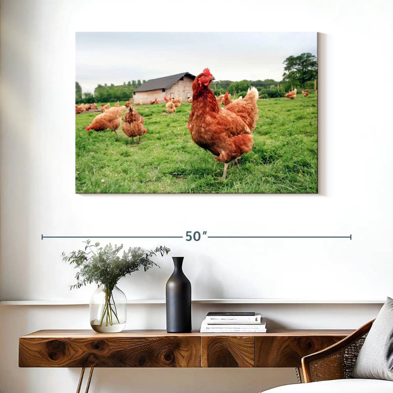 Chicken In The Farm