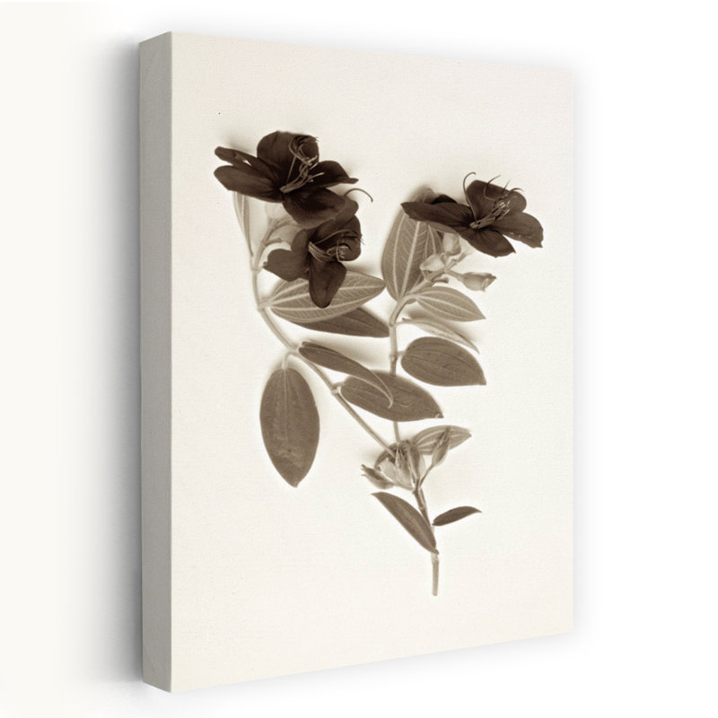 Garden Bloom # 6 - Photographie d'art, H 24 po x l 16 po