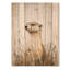 Curious Mongoose Meadows - Art mural en bois de Meercat sur bois de pin naturel-1975771637