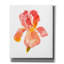 «Sunset Blooms II» par Tim O'toole, art mural sur toile-691127502