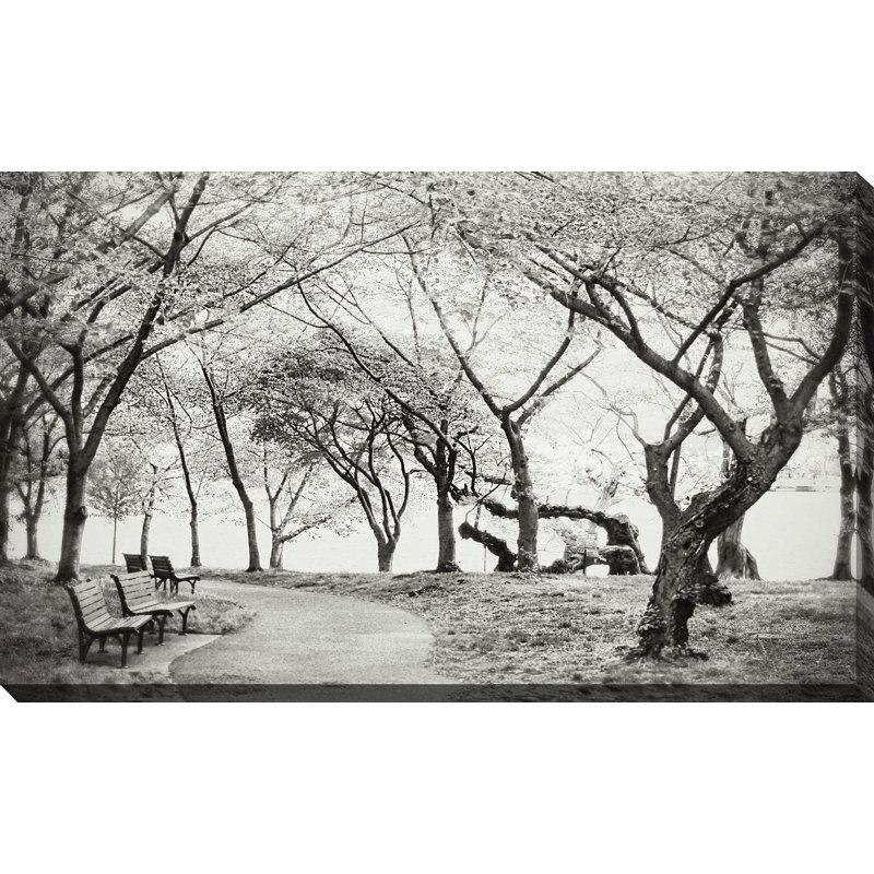«Path Walk», reproduction de photo, H 18 po x l 30 po x P 1 po, Toile tendue