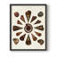 Spiral Shell Formation IV, reproduction encadrée - bois massif-1315417970-1315417974
