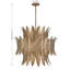 Sanctuary 6-Light Pendant in Coronado by Breegan Jane
