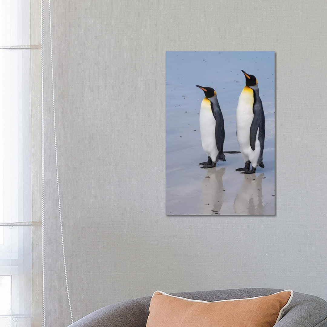 Portrait Of Two King Penguins, Aptenodytes Patagonica, On A White Sandy Beach. von Sergio Pitamitz - Gallery-Wrapped Can...