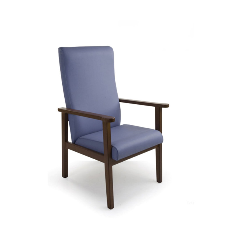 Anshul Upholstered Armchair