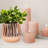5.5" Ceramic Flower Planter, Ceramic Pot Planter, Plant Home Décor,-114194460