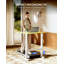 Gas Spring Adjustable Mobile Standing Desk With Wheels-1182227200-1182227212