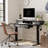 Euri Height Adjustable Standing Desk with Drawers-1032051370-1032051371