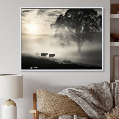 " Cattle Misty Morning Grazing II "
