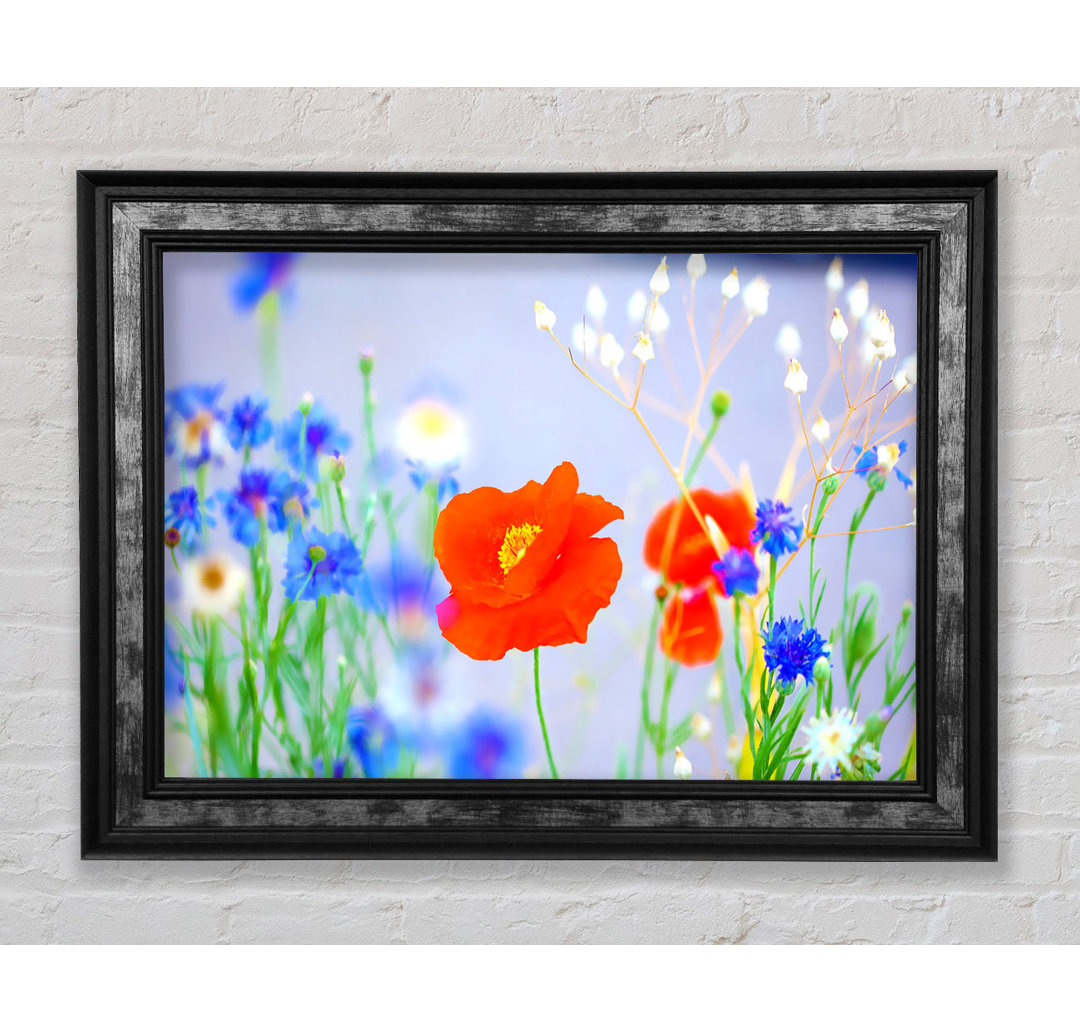 Lovely Poppy Garden - Einzelner Bilderrahmen Kunstdrucke