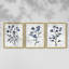 Étude florale CLxxvi -Set de 3 estampes numériques giclées -Prêt à accrocher-1869854571-1869854583