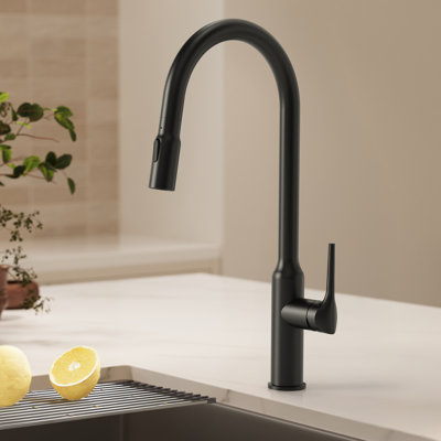 Dual Function Single Handle Pull Down Kitchen Faucet