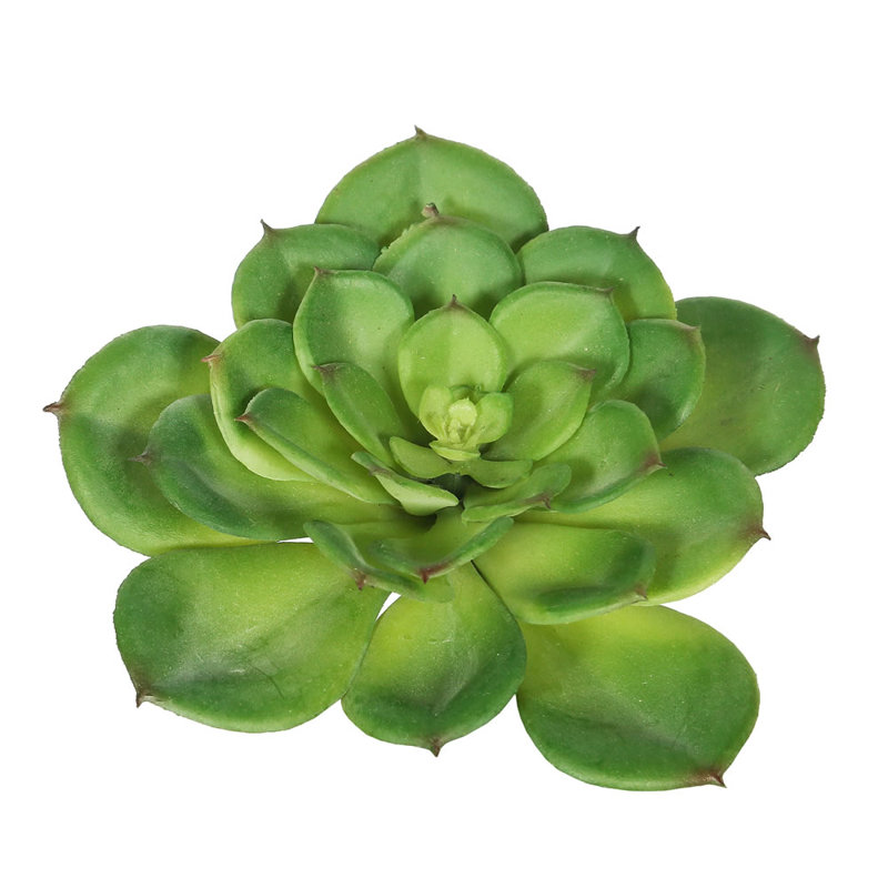 7'' Cactus Stem