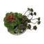 Plante artificielle, ensemble de 2 pots de ciment beiges de 9 po de hauteur, contemporain, moderne