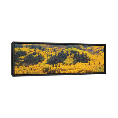 " Autumn Landscape, Dolores County, Colorado, USA " by Panoramic Images