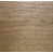 Ivoire Sheldon / Skylark sélectionné