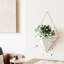 Trigg Planter Wall Decor-36905908