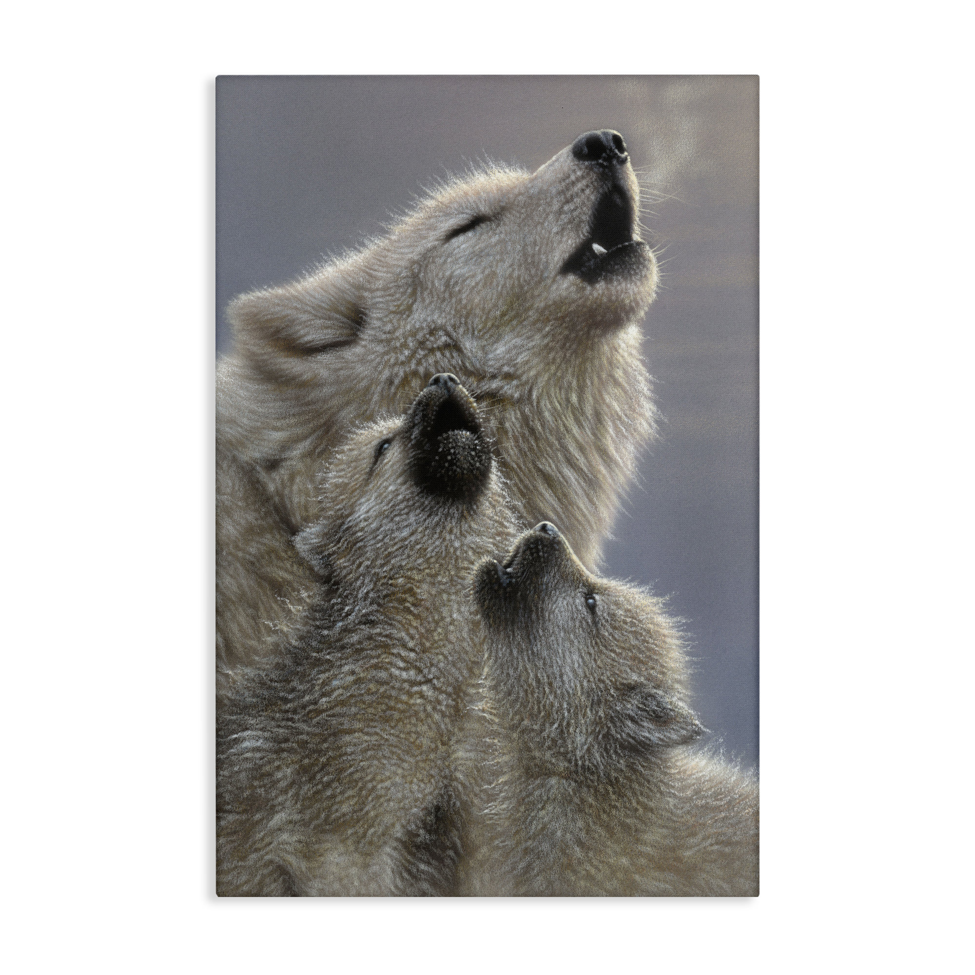 Union Rustic Singing Lessons Wolves Canvas, design by Collin Bogle ...