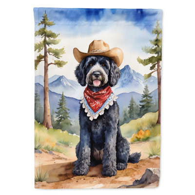 Drapeau Cowboy Welcome House