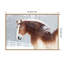 Impression de cheval de trait enneigé, impression sur toile par Sue Schlabach