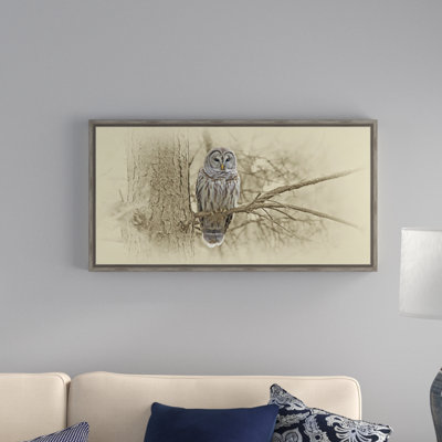 " Barred Owl "