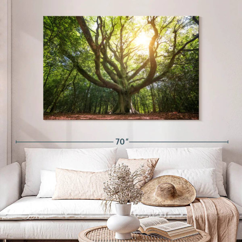 Grand vieux hêtre Harnek Broceliande, H 34 po x l 51 po