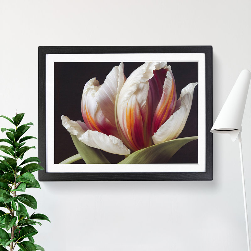 Feisty Flower - Single Picture Frame Print, Black, 46cm H x 64cm W x 2cm D