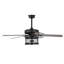 Ventilateur de plafond standard à 5 pales de 52 po avec télécommande et ensemble d'éclairage inclus Absolom-420044961