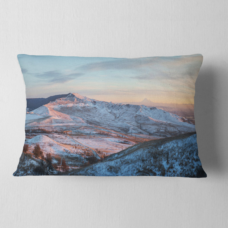 Coussin lombaire Schafer