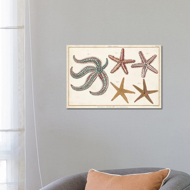 Denis Diderot - Wrapped Canvas Print, 66.04 cm H x 45.72 cm W x 1.91 cm D