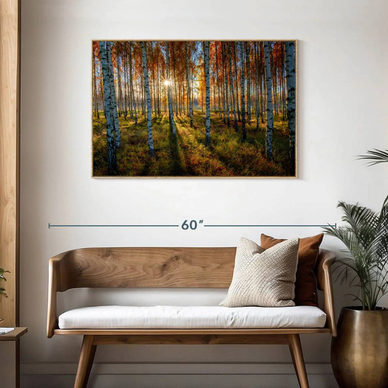 Forêt de bouleaux suédois, Cadre flottant en bois naturel, 43 po x 29 po
