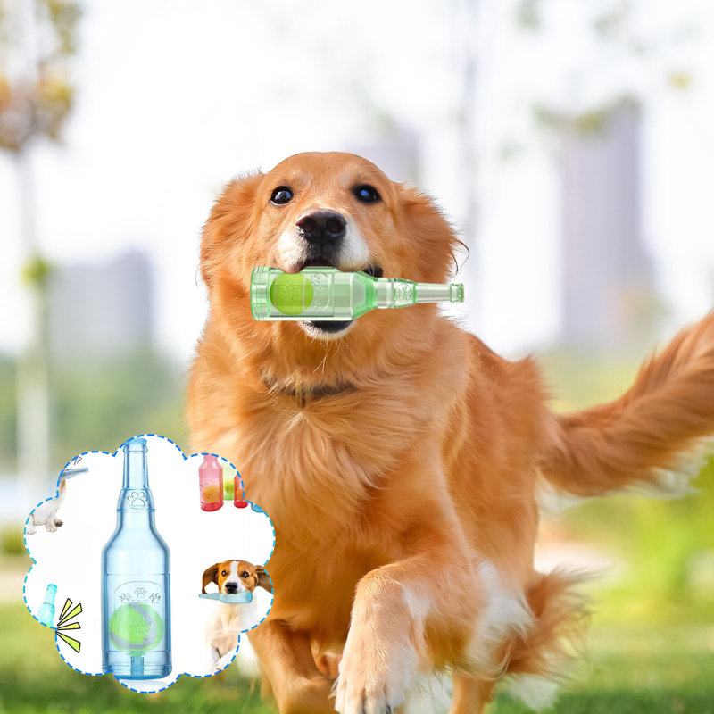 Bouteille d'eau pour chien avec bouteille de mouture Phonation, B