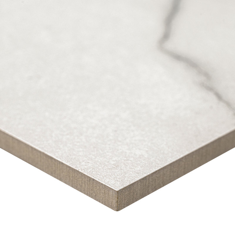 Beldale 24 in. x 24 in. Matte Porcelain Marble Look Floor and Wall Tile, Gravelle