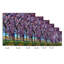 Cerisiers en fleurs-1533859899