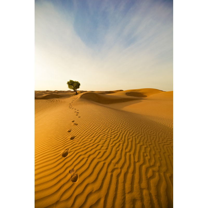 Desert footprints 824899724, 122cm H x 81cm W
