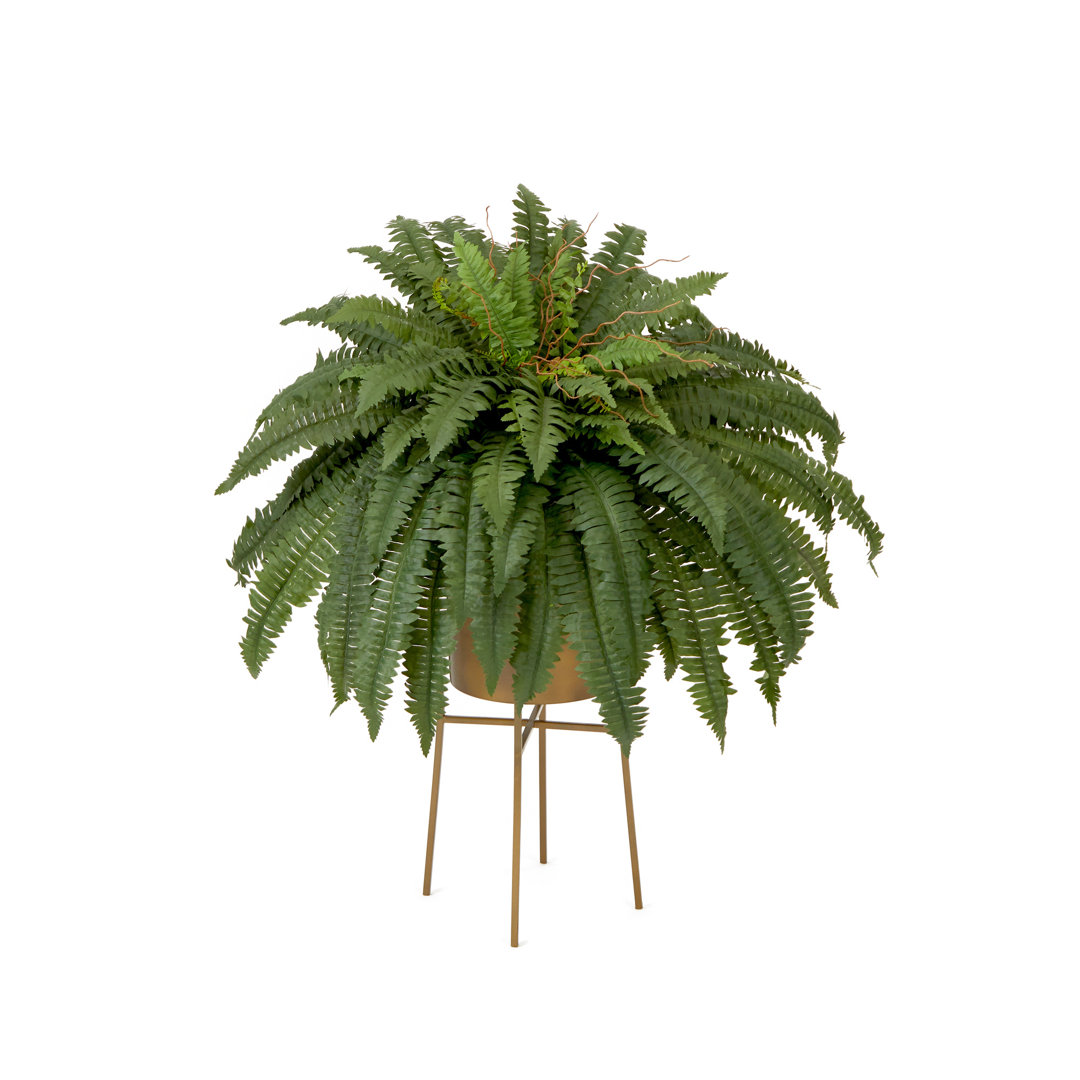 Wheeler 32'' Faux Fern Plant in Metal Planter Primrue