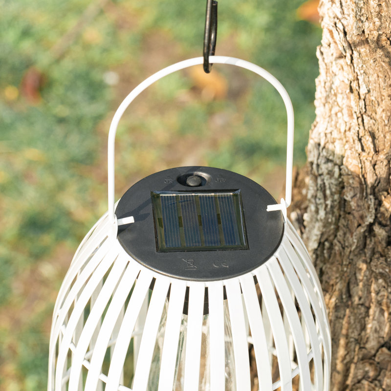 9.75'' Integrated LED Barrel Lantern, White