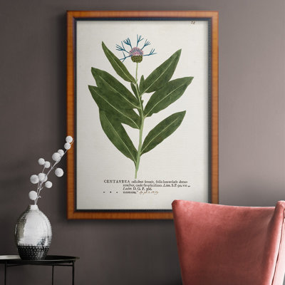 Nature imprimée Botanicals II, toile encadrée de qualité supérieure - prête à être accrochée