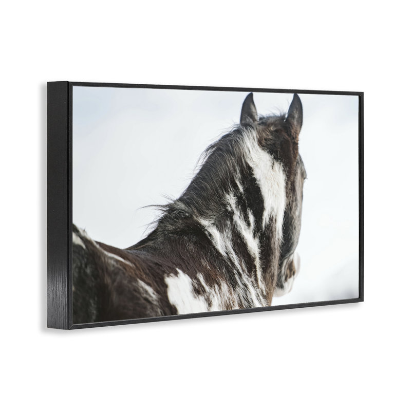 Hibou enneigé, portrait par Amy Carroll, H 12 po x l 18 po, Giclée encadrée noir minuit