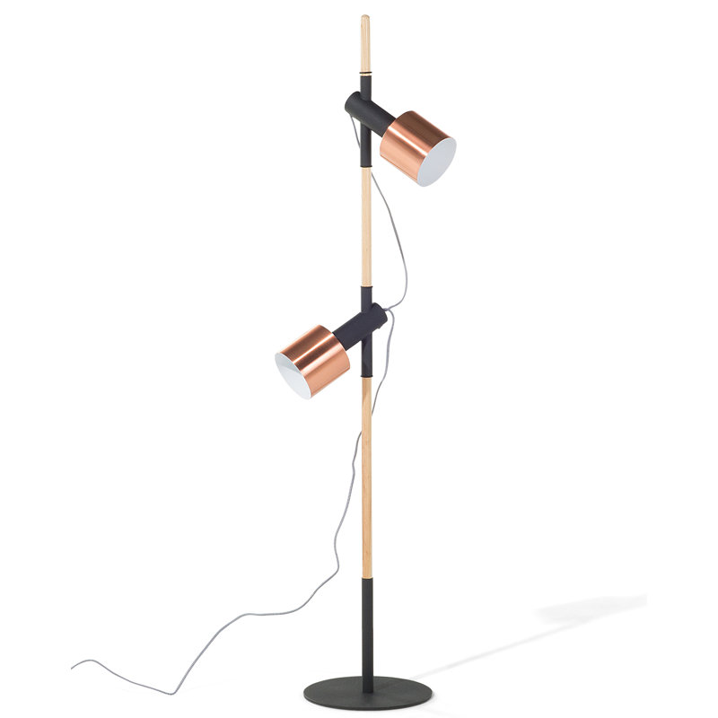 Davion 148cm Novelty Floor Lamp, Black/Copper