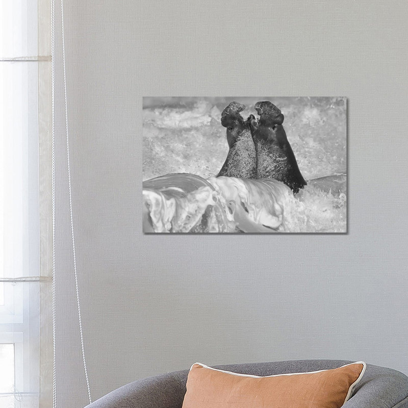 Northern Elephant Seal Bulls Fighting In Surf, Piedras Blancas, California by Tim Fitzharris - Wrapped Canvas Gallery-Wrapped Canvas Giclée