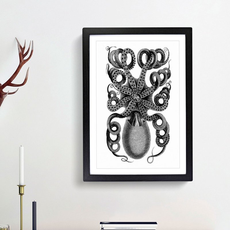 Rear of an Octopus in Black & White by George Shaw - Picture Frame Drawing Print, 48cm H x 36cm W x 2cm D, Black Framed