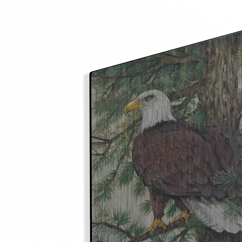 Lark Manor ™ «Eagle in the Pine» par Tim O'Toole, art mural en métal, H 16 po x l 12 po