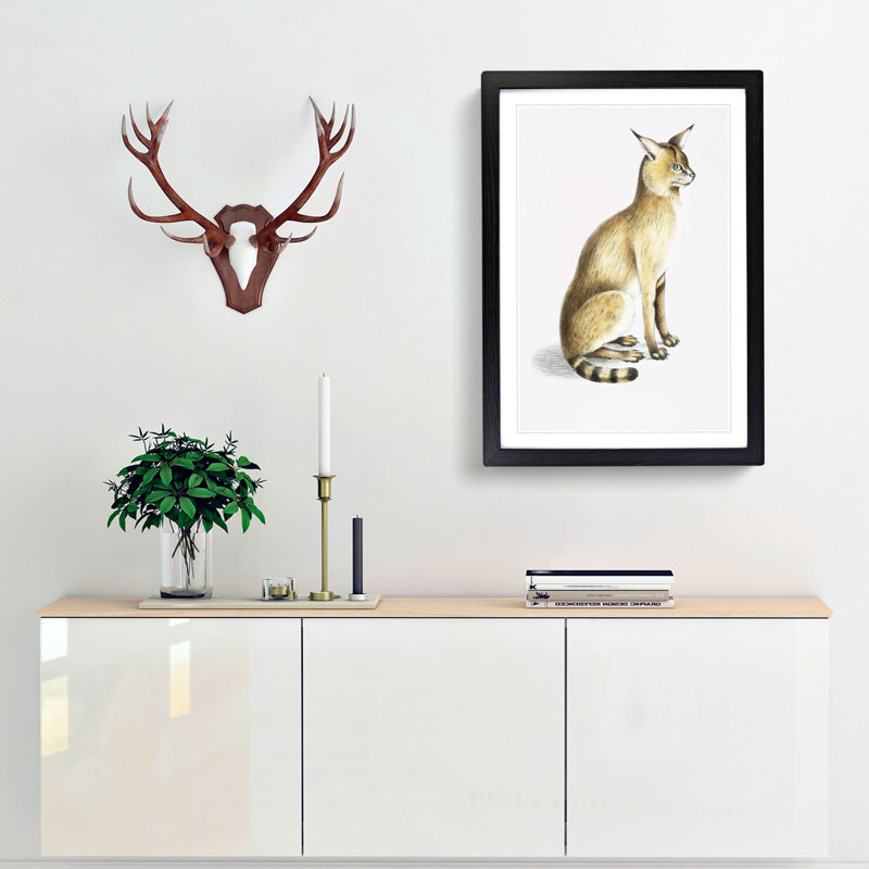 Allied Cat by John Edward Gray - Single Picture Frame Painting, 63cm H x 45cm W x 2cm D, Black Framed