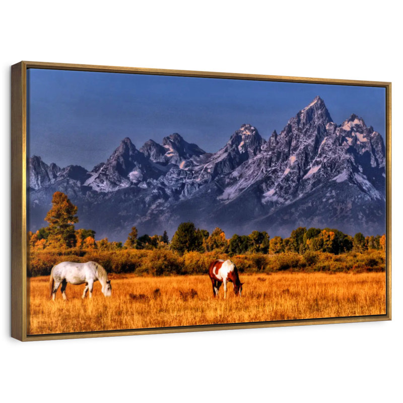 Chevaux paissant à Grand Teton, Cadre flottant doré, 40 po x 27 po