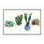 « four plantes grasses ii » par melissa wang-, reproduction d’art-49920511-53128689