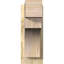 Sapin Douglas-113998552-109329452