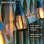 Guirlande solaire Fox Flame (10 lumières)