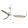 46 Inch Ceiling Fan With LED Light, Remote Control