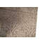 Floral Area Rug in Tan